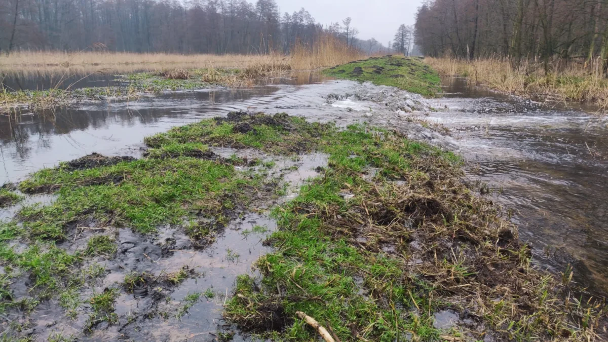 Wzrost poziomu wody w gminach Goleniów i Stepnica – stan zagrożenia wysoki