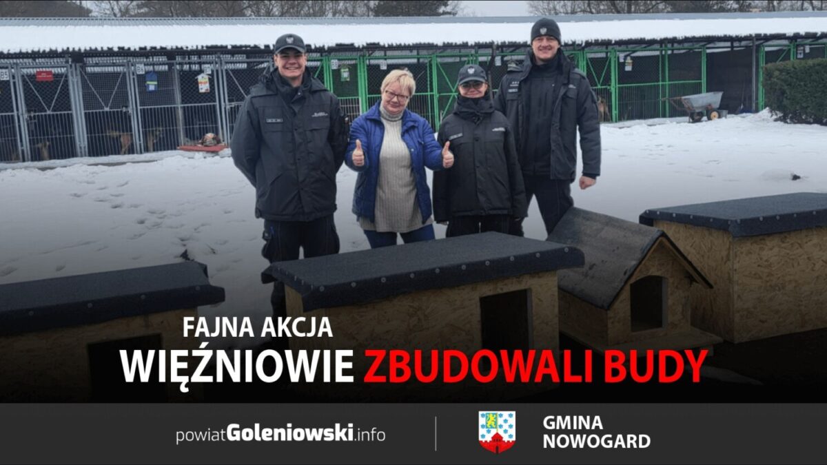 Więźniowie z Nowogardu pomagają bezdomnym psom. Zbudowali nowe budy