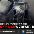 Nocny pożar w Żółwiej Błoci. Trzy jednostki strażaków w akcji