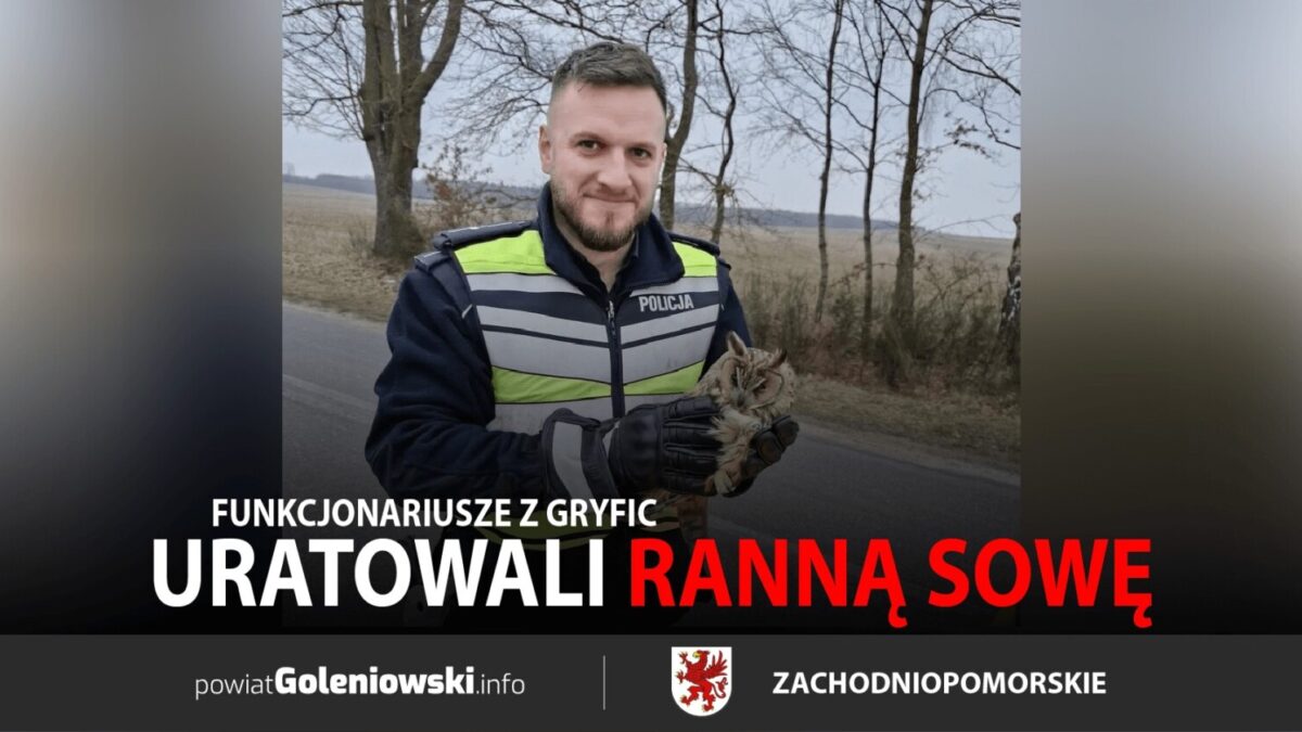 Funkcjonariusze z Gryfic uratowali ranną sowę