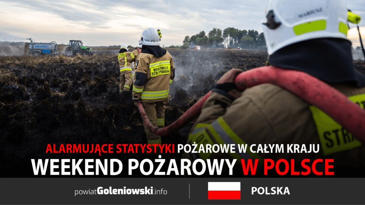 Dramatyczny weekend pożarowy w Polsce. W Mokrzycy spłonęło 20 hektarów