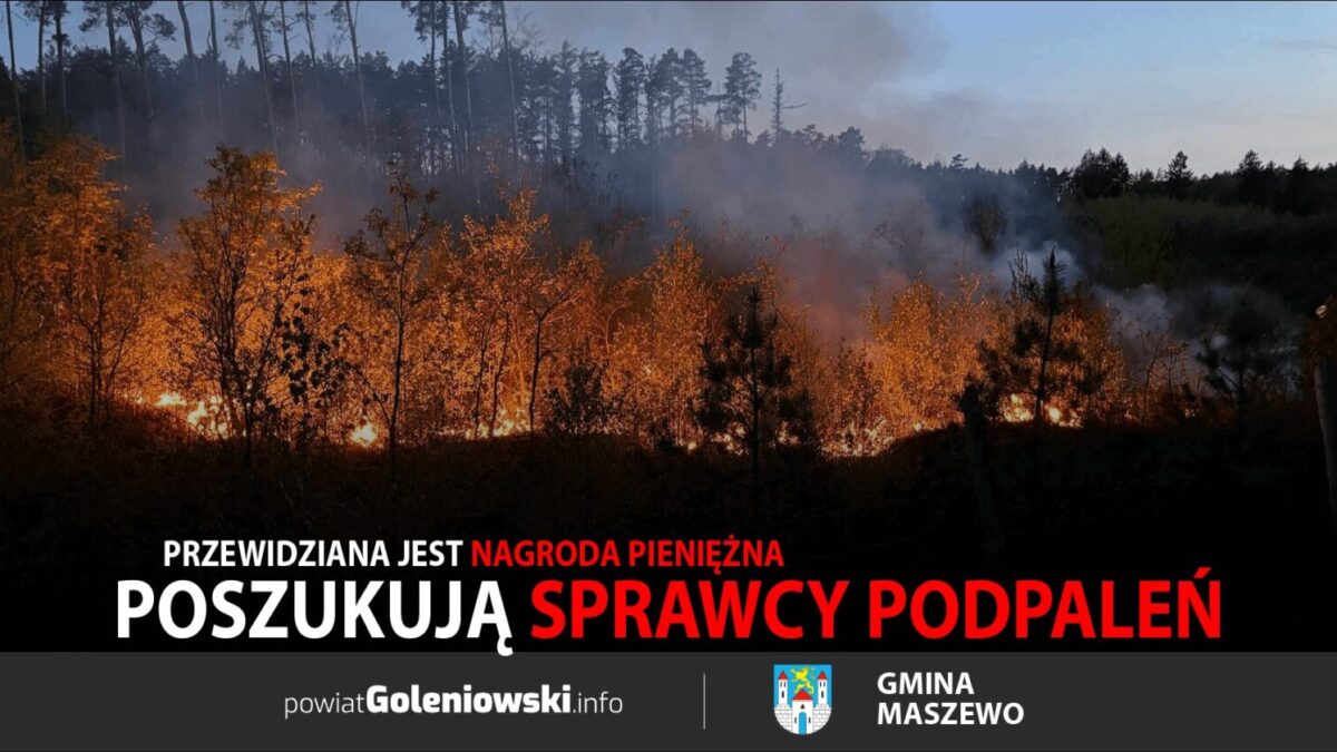 Nadleśnictwo Kliniska poszukuje sprawcy podpaleń lasów w okolicach Przemocza