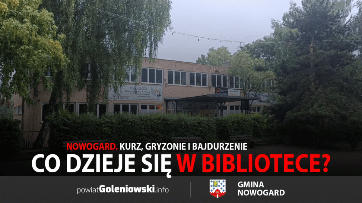 Kurz, gryzonie i bajdurzenia. Co dzieje się w nowogardzkiej bibliotece?