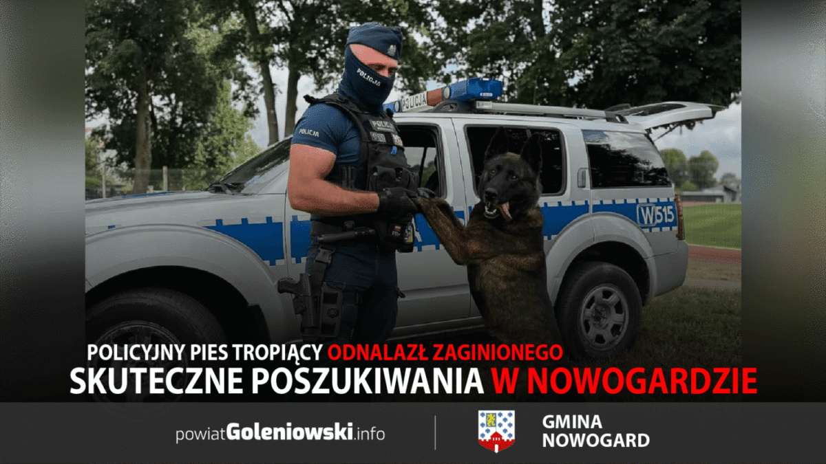 Skuteczne poszukiwania w Nowogardzie. Policyjny pies tropiący odnalazł zaginionego