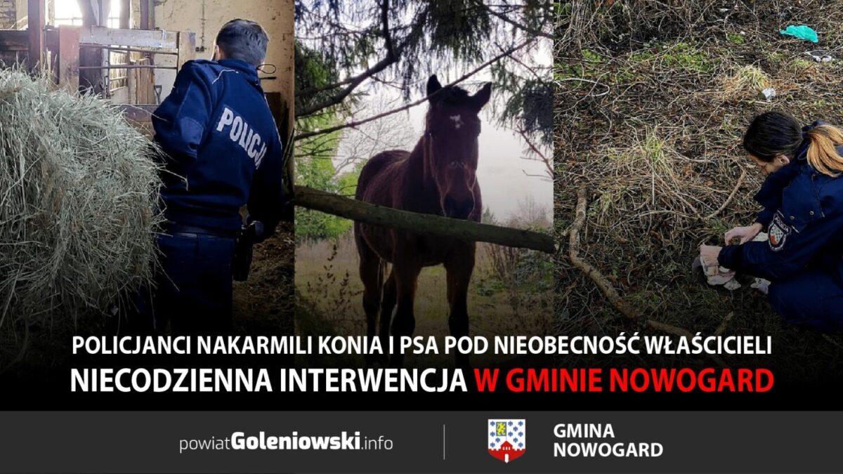 Niecodzienna interwencja w&nbsp;gminie Nowogard. Policjanci nakarmili konia i&nbsp;psa pod&nbsp;nieobecność właścicieli