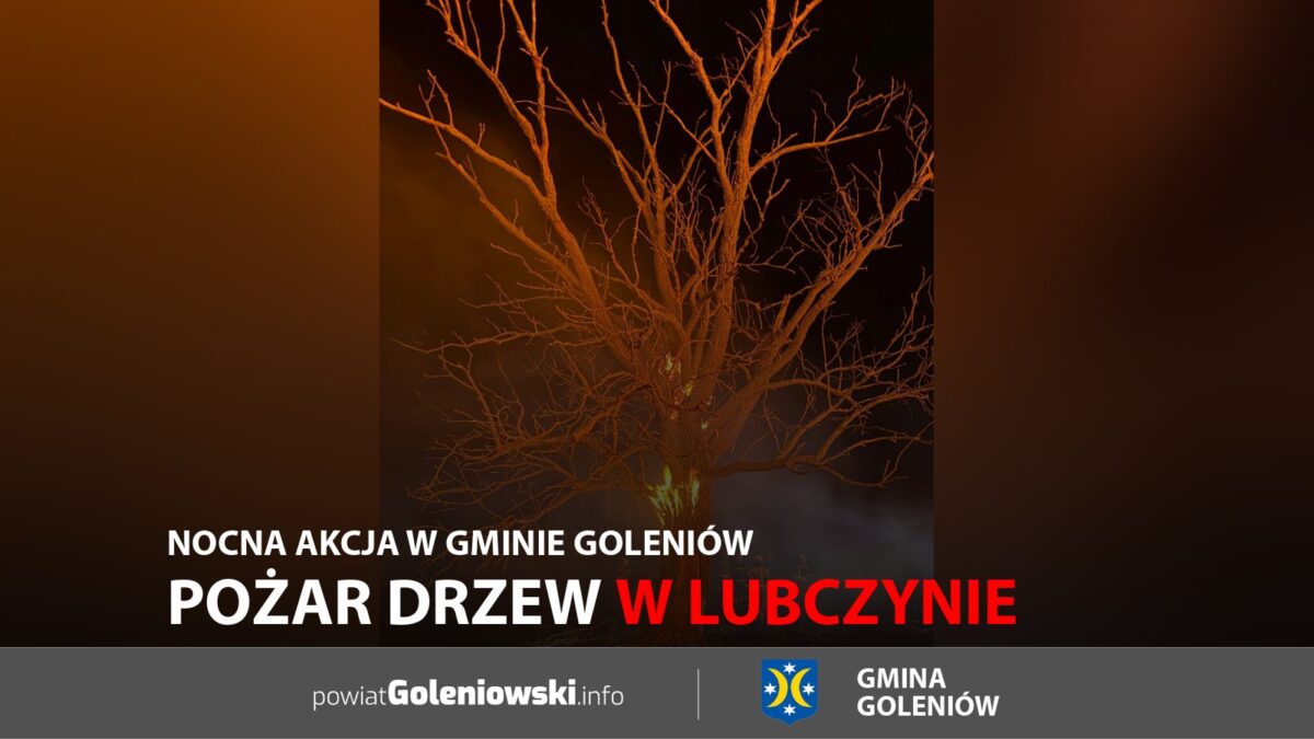 Pożar drzew w&nbsp;Lubczynie. Nocna akcja w&nbsp;gminie Goleniów
