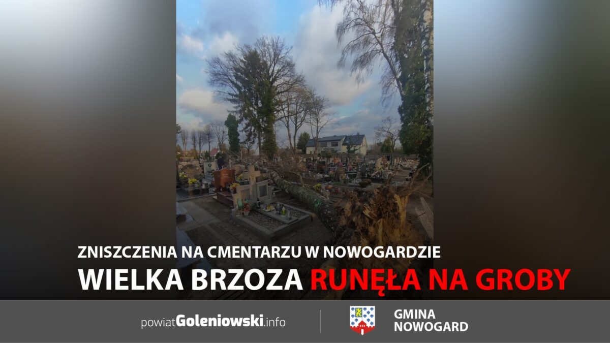 Wielka brzoza runęła na&nbsp;groby, Zniszczenia na&nbsp;cmentarzu w&nbsp;Nowogardzie