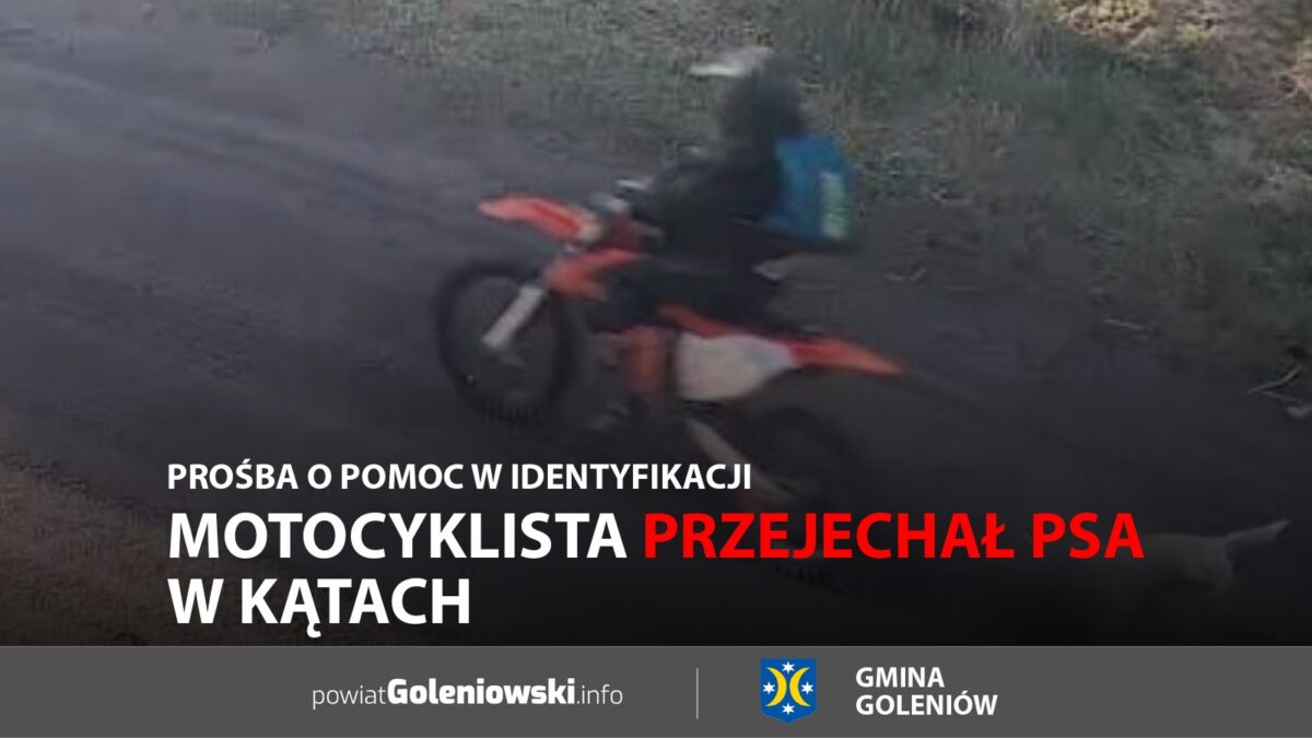 Motocyklista przejechał psa w&nbsp;Kątach. Prośba o&nbsp;pomoc w&nbsp;identyfikacji