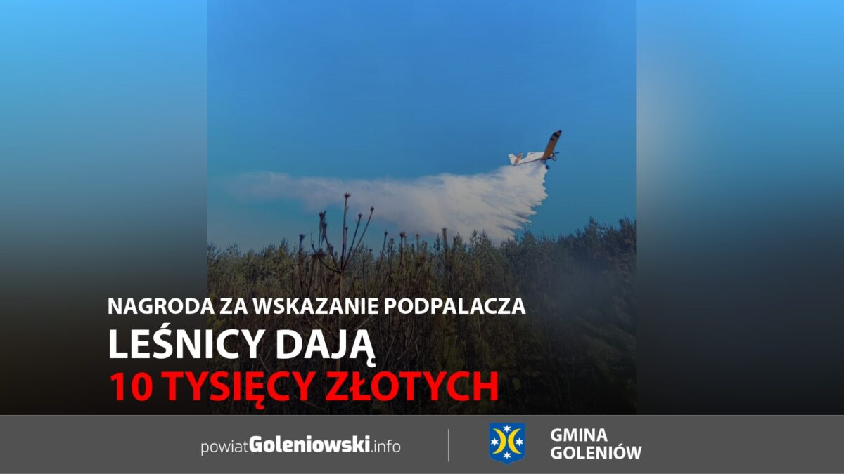 Leśnicy dają 10 tysięcy złotych. Nagroda za&nbsp;wskazanie podpalacza