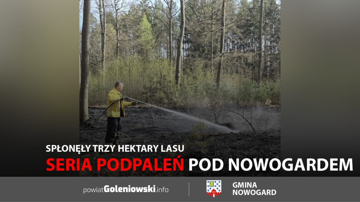 Seria podpaleń pod&nbsp;Nowogardem. Spłonęły trzy hektary lasu
