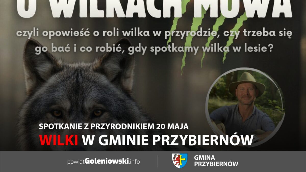 Wilki w&nbsp;gminie Przybiernów. Spotkanie z&nbsp;przyrodnikiem 20 maja
